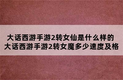 大话西游手游2转女仙是什么样的 大话西游手游2转女魔多少速度及格